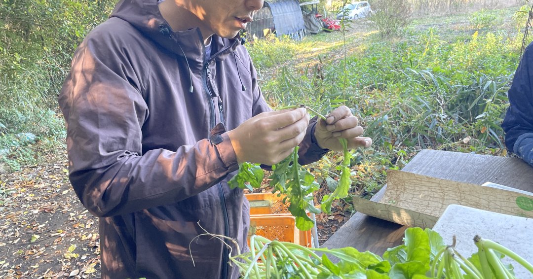 談笑しながらルッコラを剪定