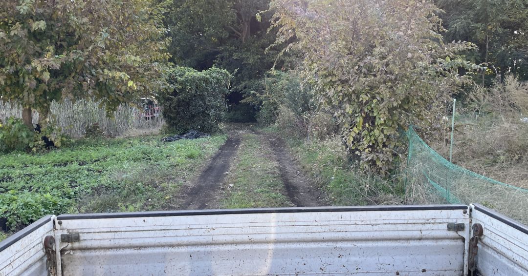 荷台に乗ってハウス畑へ移動