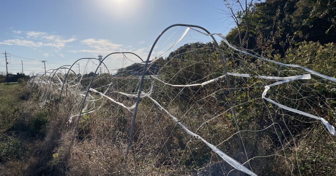 支柱を解体していく