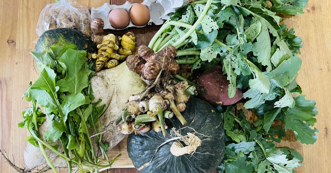 たくさんいただいた有機野菜たち