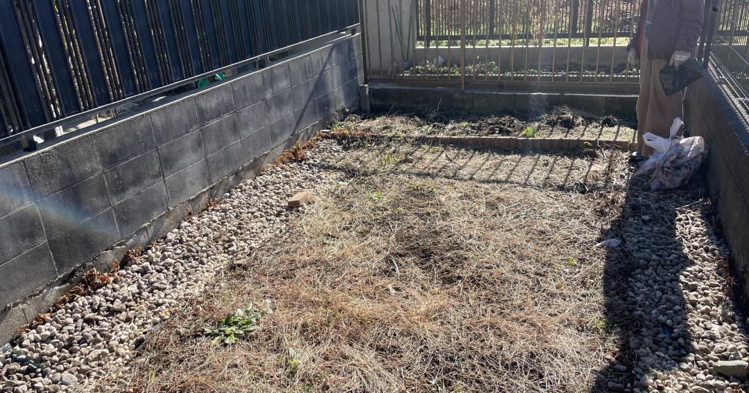 お庭を菌ちゃん畑にしていきます