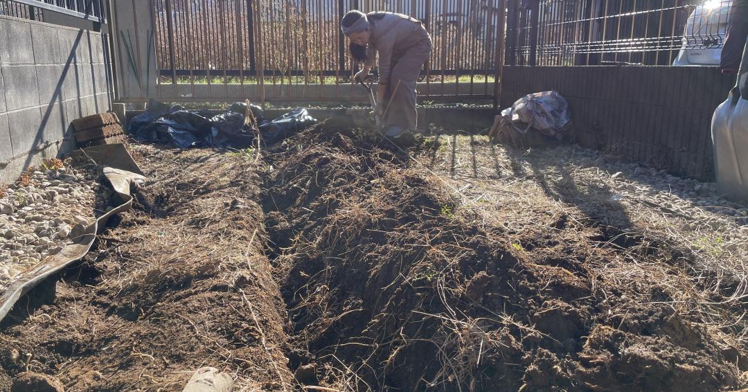 土を盛って畝を作ります