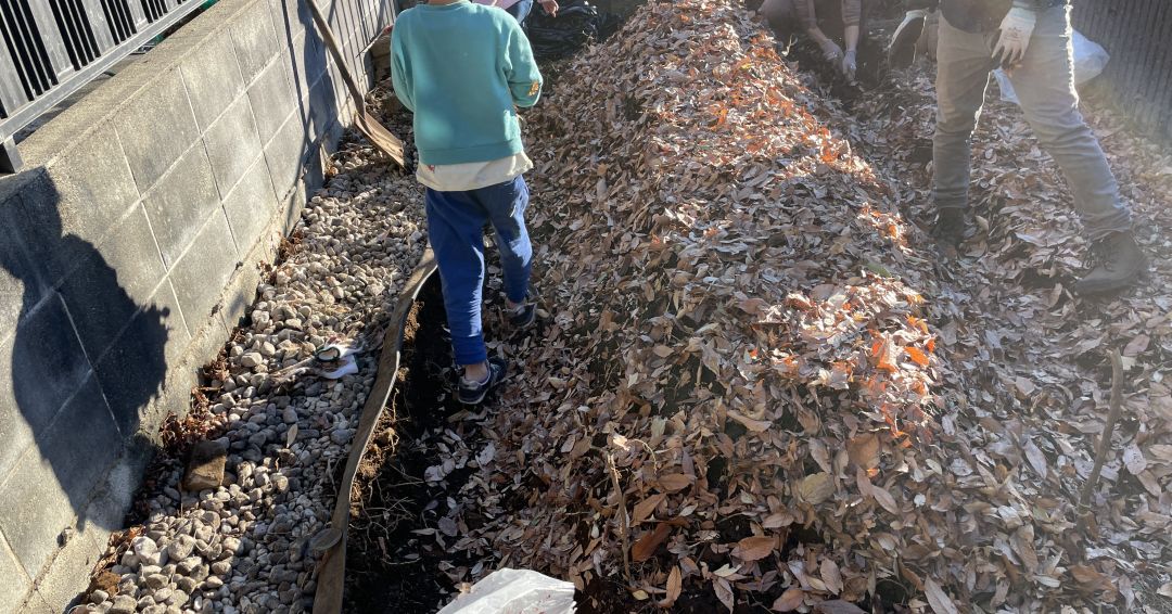 畝に落ち葉を被せます