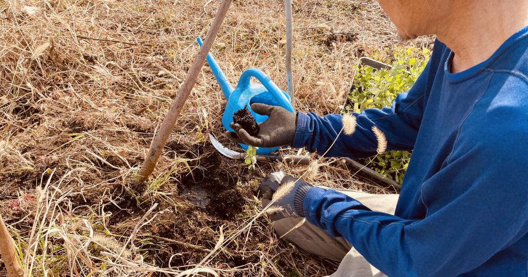 作付けの仕方をレクチャー