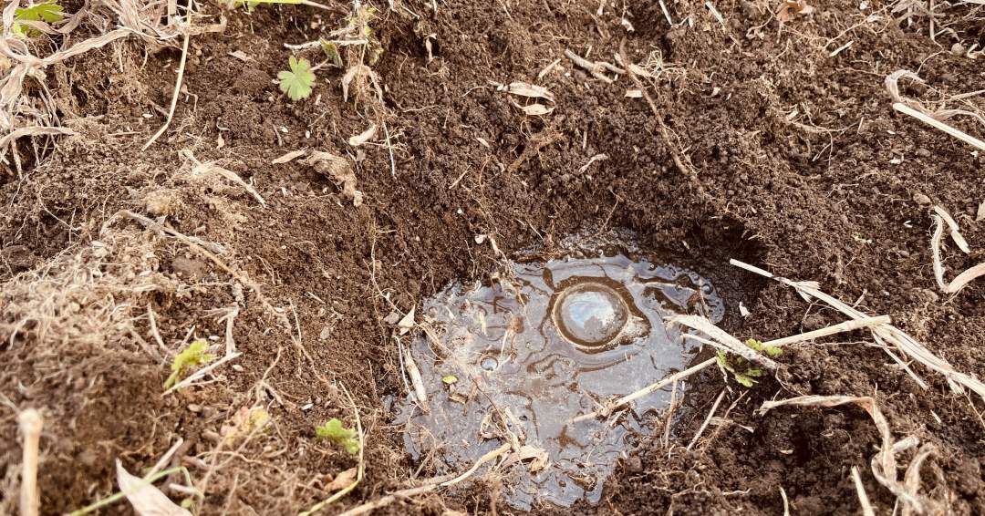 水をジョーロで3秒位入れます