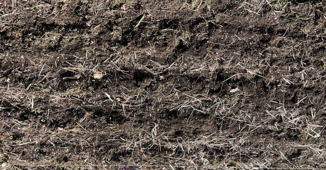 覆土して手のひらで鎮圧します