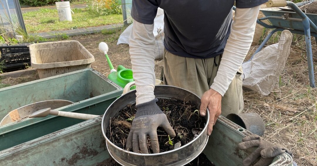 畑の土とたい肥を1:1で濾す