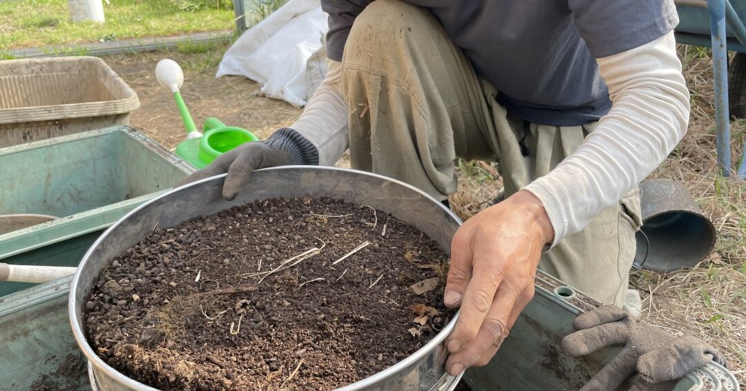 たい肥は2年間寝かせた踏み込み温床のもの