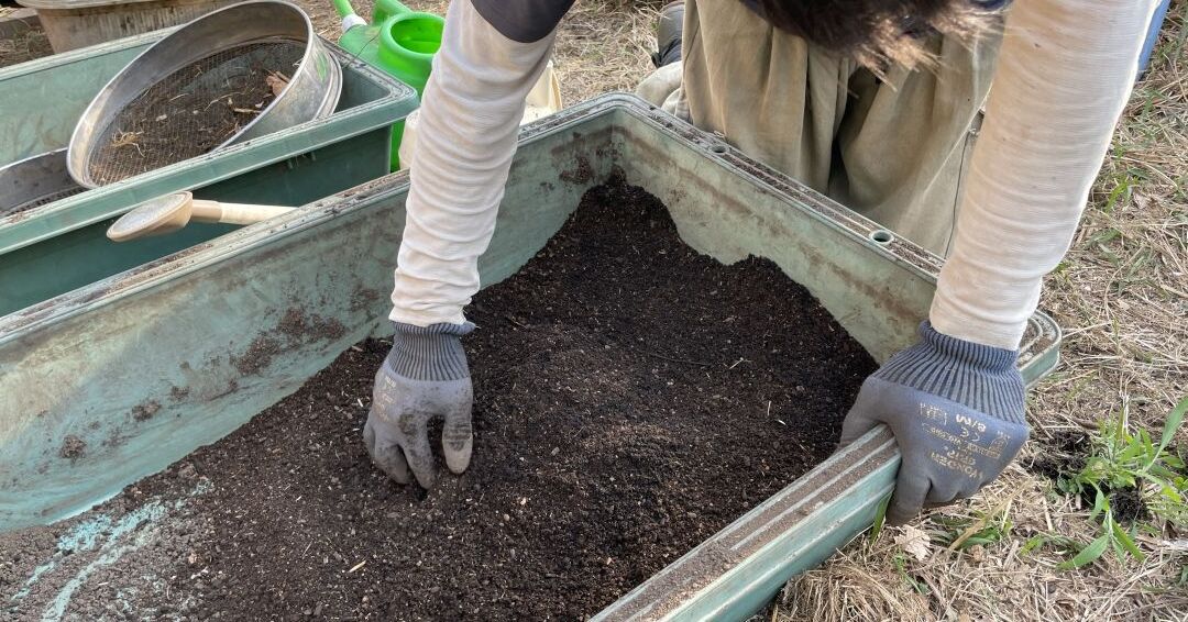 雨水を入れて混ぜる